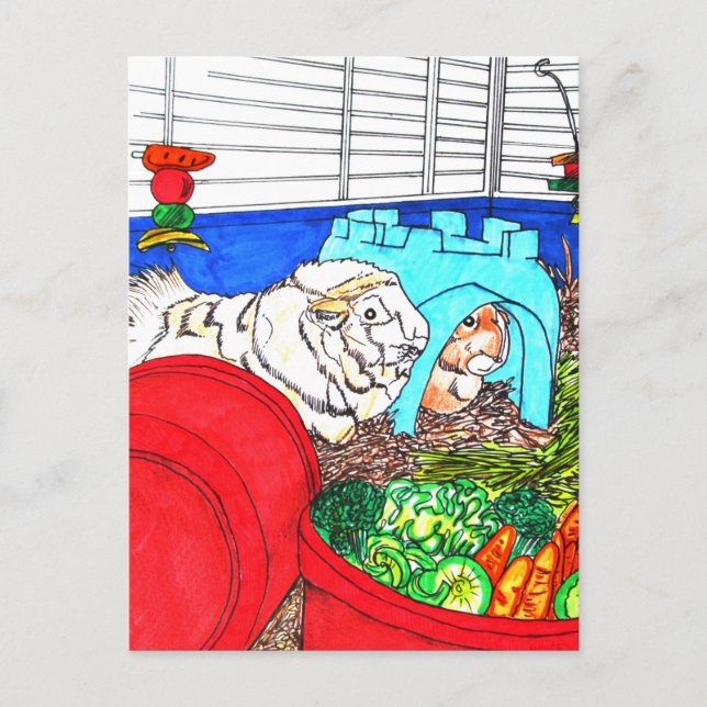 Guinea Pigs in a cage Postcard (Front)