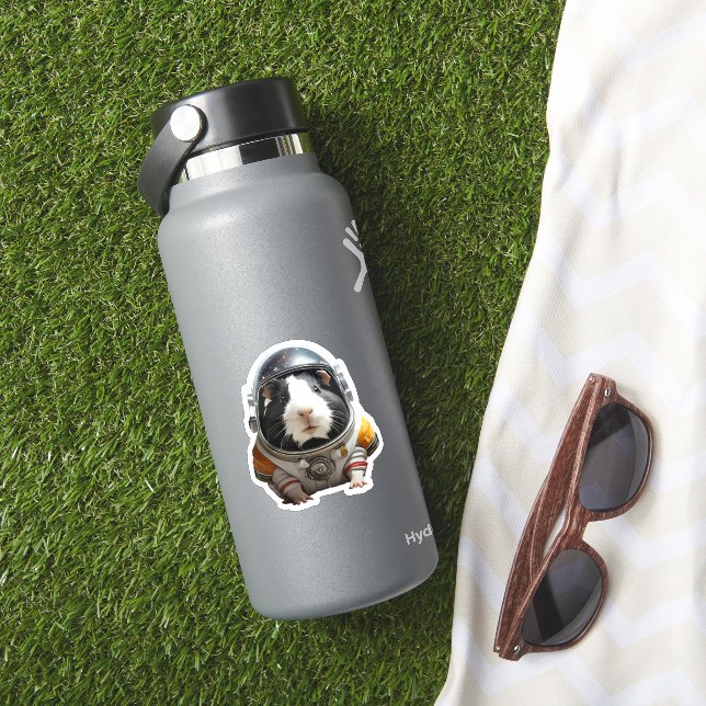 Guinea Pigs in Space! Astronaut Explorer (HydroFlask Insitu)