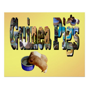 Guinea Pigs Is The Word, Poster