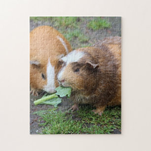 Guinea Pigs Jigsaw Puzzle