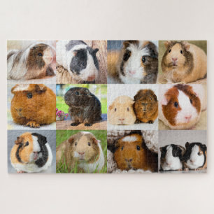 Guinea Pigs Jigsaw Puzzle