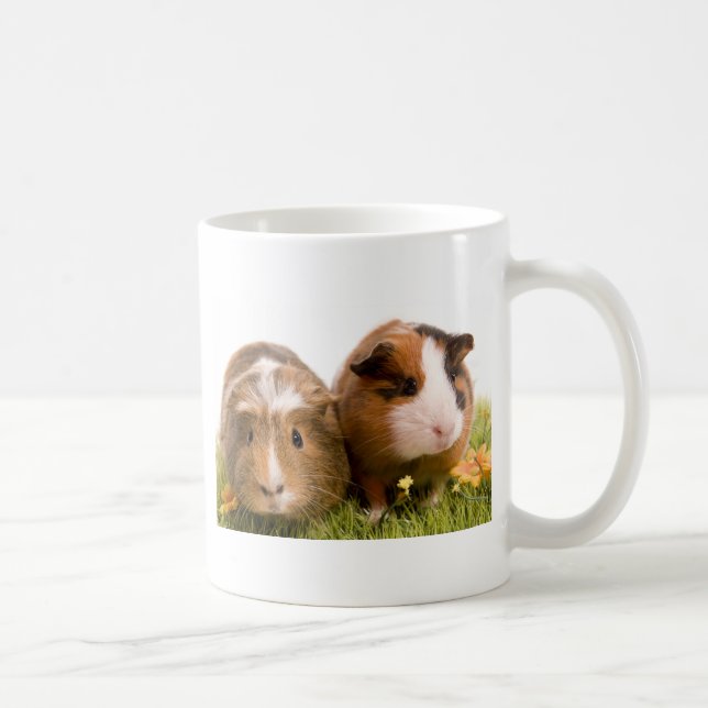guinea pigs on a lawn coffee mug (Right)