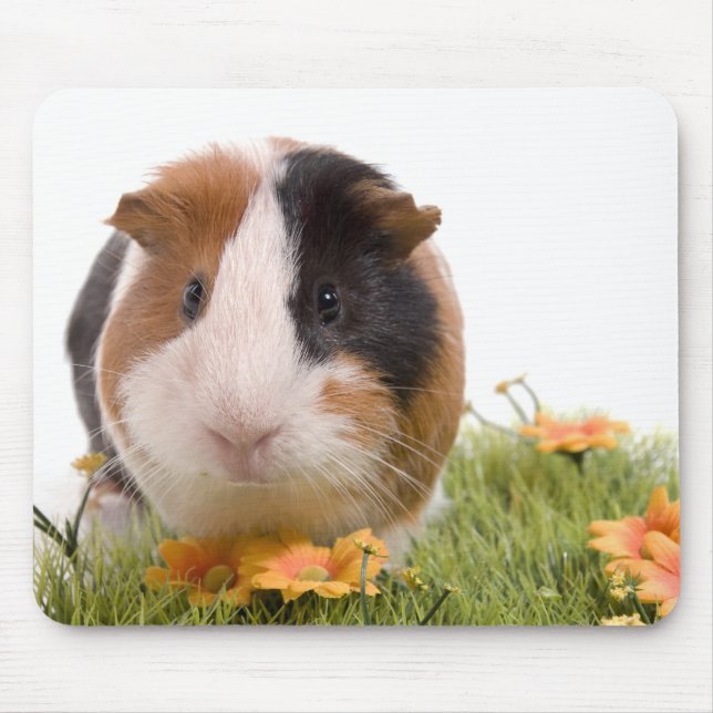 guinea pigs on a lawn mouse mat (Front)