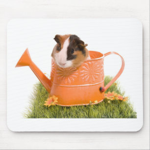 guinea pigs on a lawn mouse mat