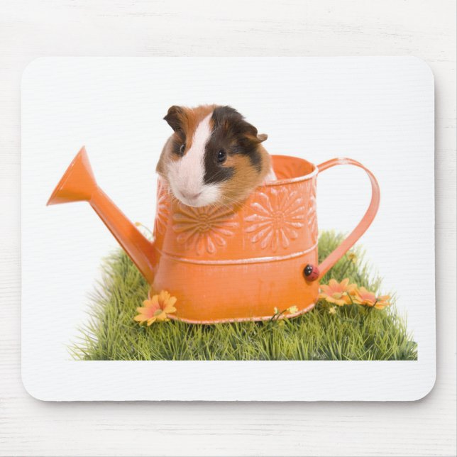 guinea pigs on a lawn mouse mat (Front)