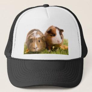 guinea pigs one has lawn trucker hat