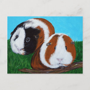 Guinea Pigs Painting Postcard