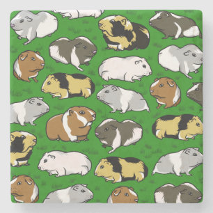 Guinea pigs pattern stone coaster