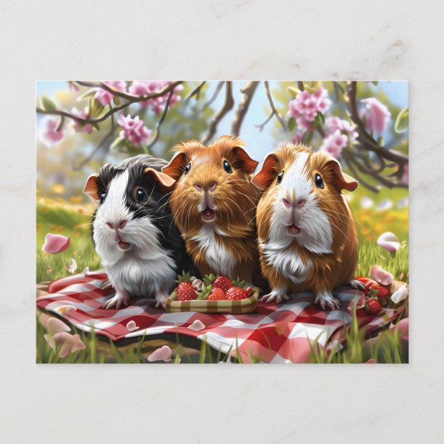 Guinea Pigs Picnic Postcard (Front)