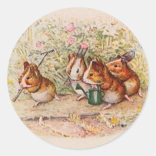 Guinea Pigs Planting in the Garden Classic Round Sticker