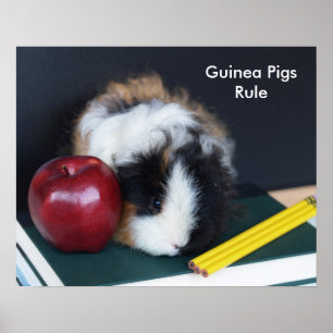 Guinea Pigs Rule Poster