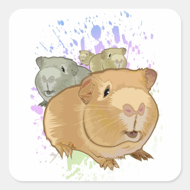 Guinea Pigs Square Sticker (Front)