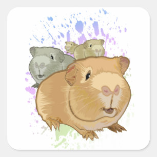 Guinea Pigs Square Sticker