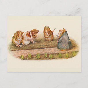 Guinea Pigs Tending Garden Postcard