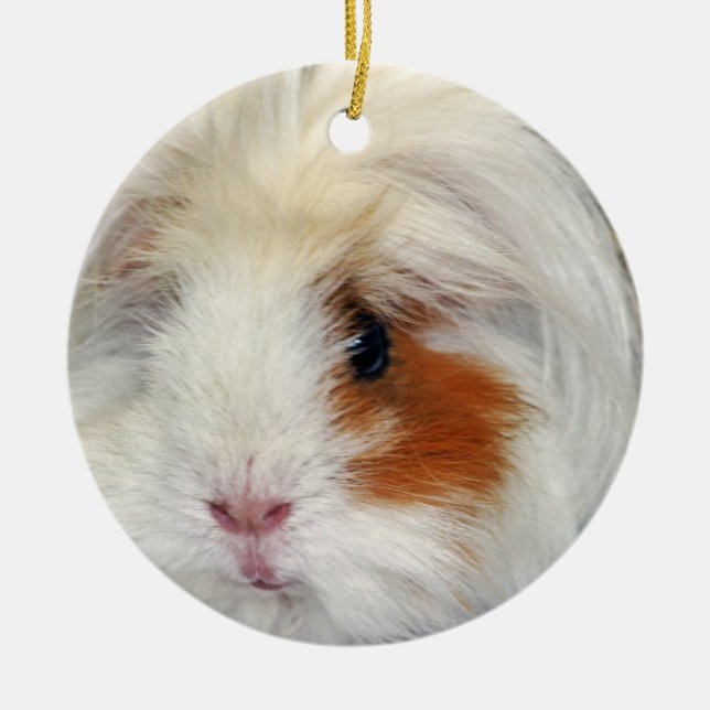 Guinea Pig's Wish Ceramic Tree Decoration (Front)