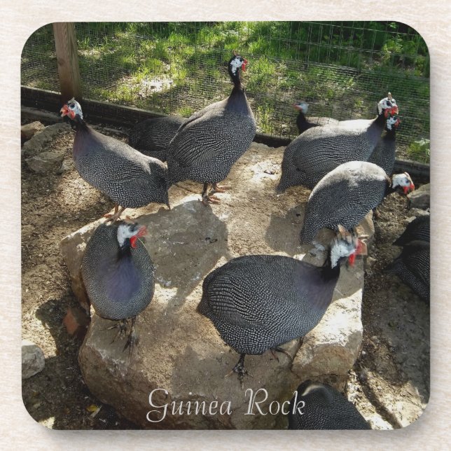 Guinea Rock Coaster Set (Front)