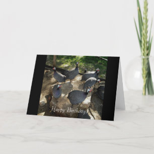 Guinea Rock, Guinea Fowl Birthday Card