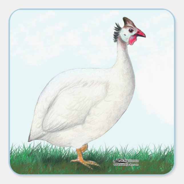 Guinea White Square Sticker (Front)