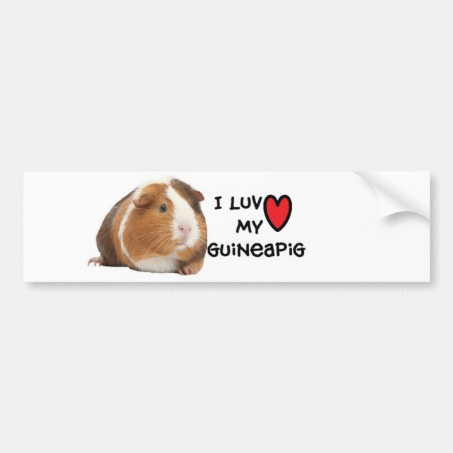 Guineapig Bumper Sticker"I love My Guineapig" Bumper Sticker (Front)