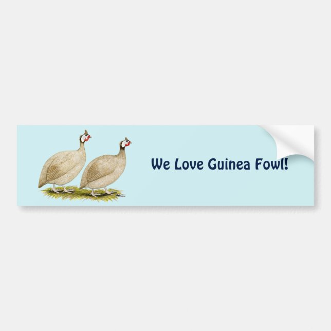 Guineas Buff Dundotte Fowl Bumper Sticker (Front)