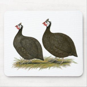 Guineas:  Chocolate Mouse Mat