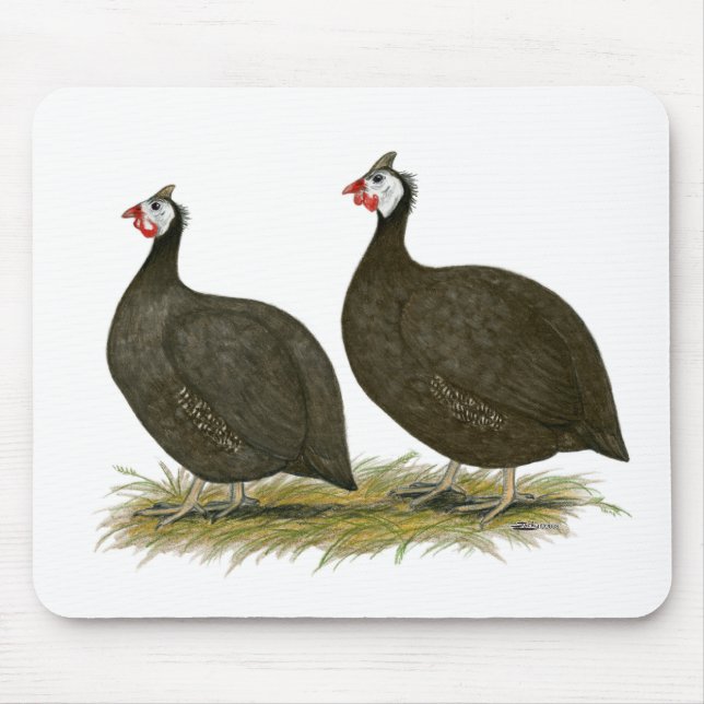 Guineas:  Chocolate Mouse Mat (Front)