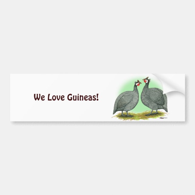 Guineas:  French Bumper Sticker (Front)