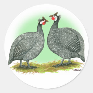 Guineas:  French Classic Round Sticker