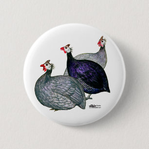 Guineas Three 6 Cm Round Badge