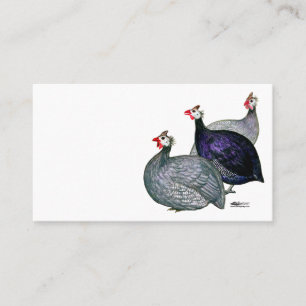 Guineas Three Business Card