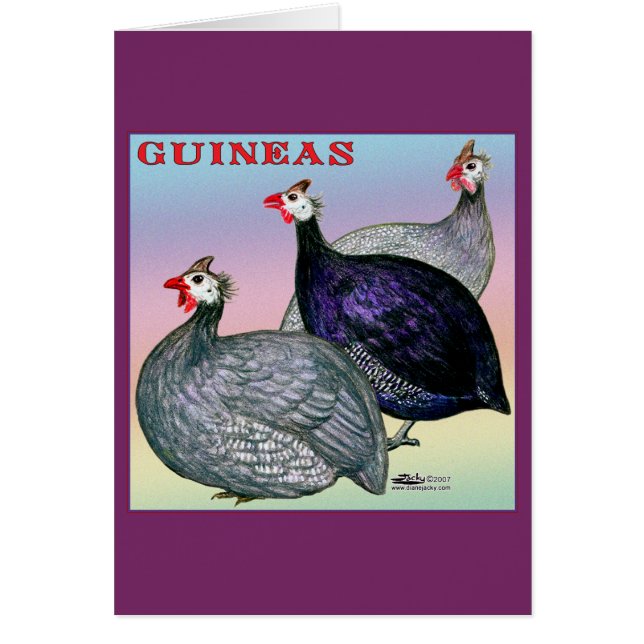 Guineas Three Fowl (Front)