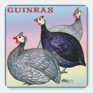 Guineas Three Fowl Square Sticker