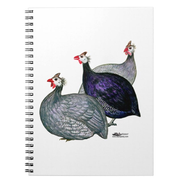 Guineas Three Notebook (Front)