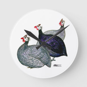 Guineas Three Round Clock