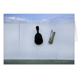 Guitar and Violin Case