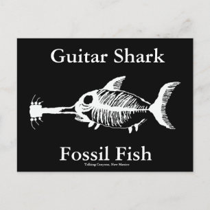 Guitar Shark Fossil Fish Postcard