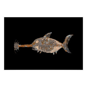 Guitar Shark Talking Canyons, New Mexico Poster