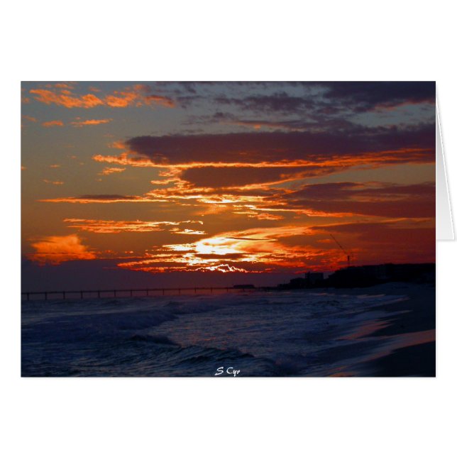 Gulf Coast Florida Sunset (Front Horizontal)