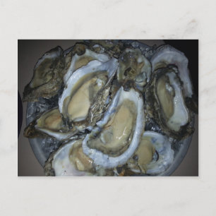 Gulf Coast Oysters Postcard