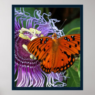 Gulf Fritillary Art Print -20x24 -or smaller
