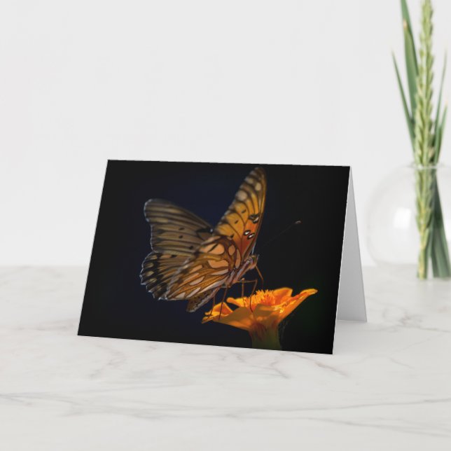 Gulf Fritillary Butterfly Blank Note Card (Front)