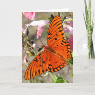 Gulf Fritillary Butterfly Notecard