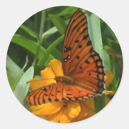 Gulf Fritillary Butterfly Stickers