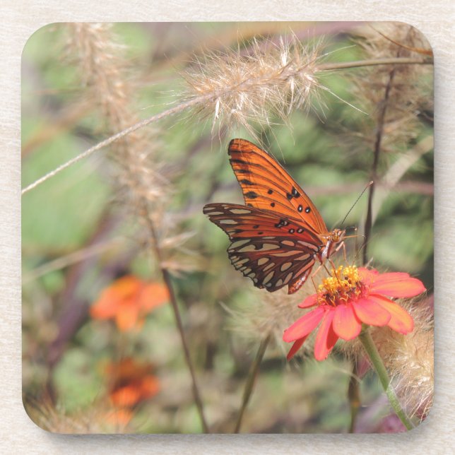 Gulf Fritillary on Zinnia Coaster (Front)