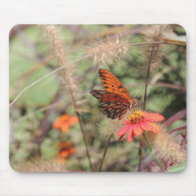 Gulf Fritillary on Zinnia Mouse Mat (Front)