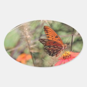 Gulf Fritillary on Zinnia Oval Sticker