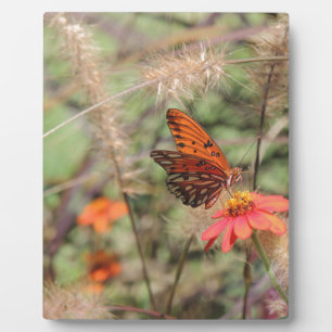 Gulf Fritillary on Zinnia Plaque