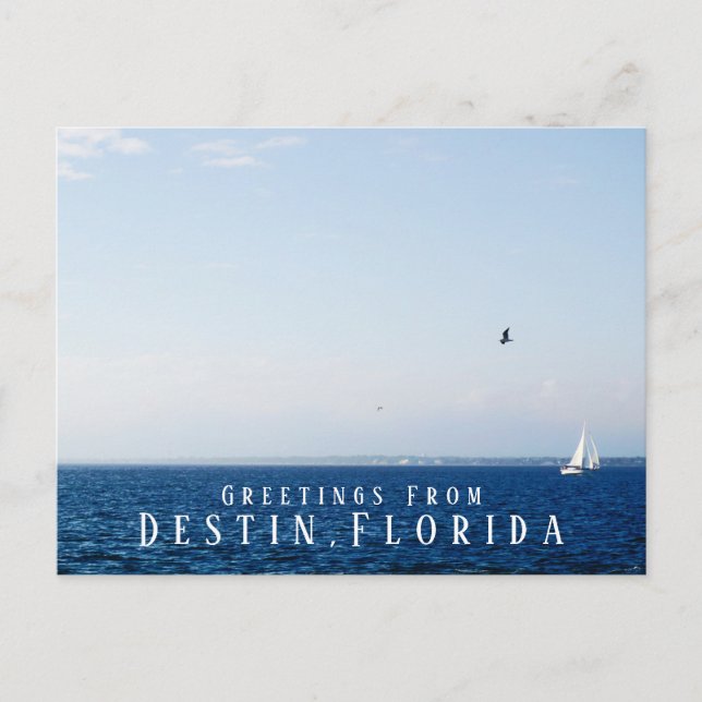Gulf Ocean and Sailboat Greetings Destin Florida  Postcard (Front)