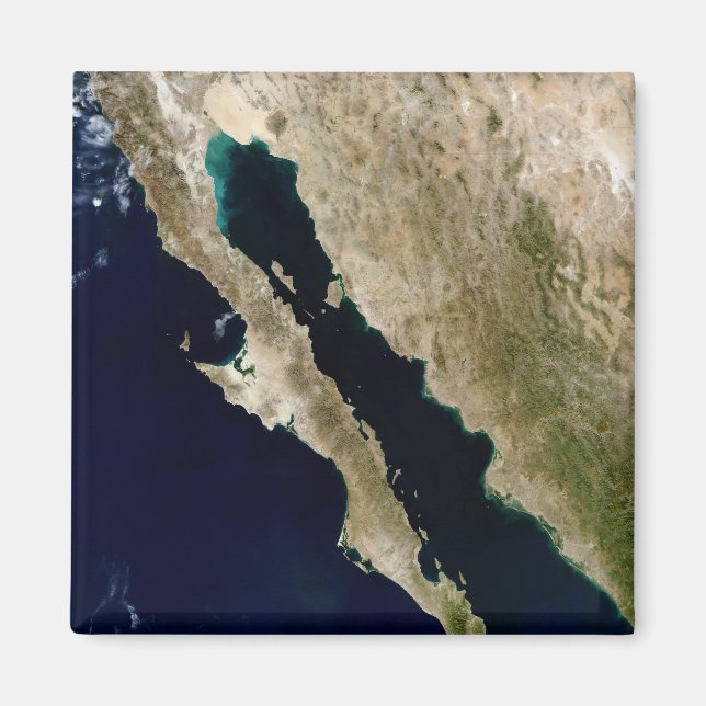 Gulf of California Magnet (Front)