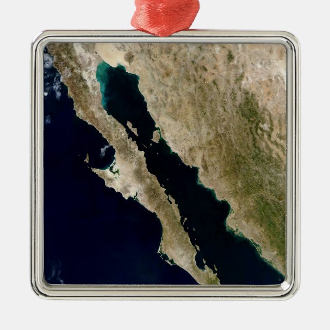 Gulf of California Metal Tree Decoration (Front)
